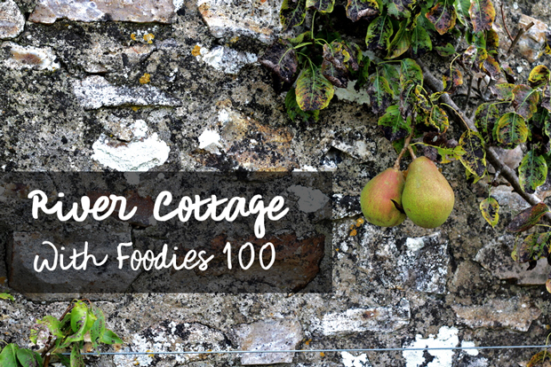 river cottage with foodies 100