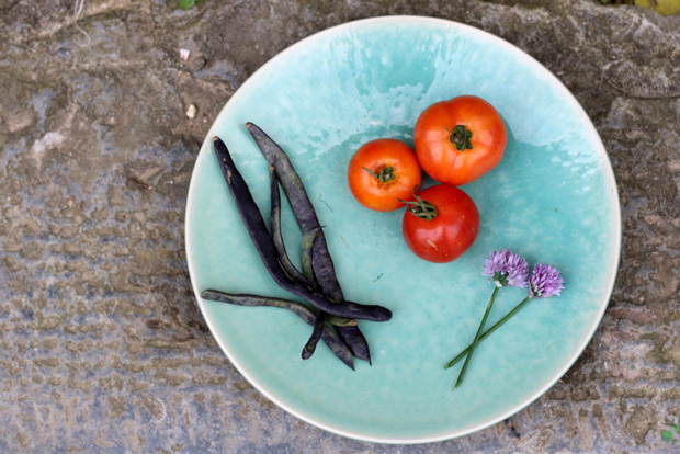 tomatoes