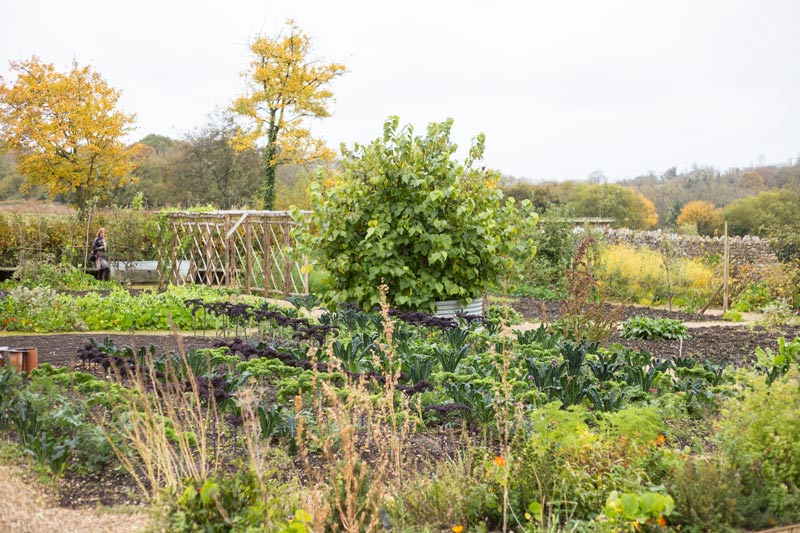 River cottage garden